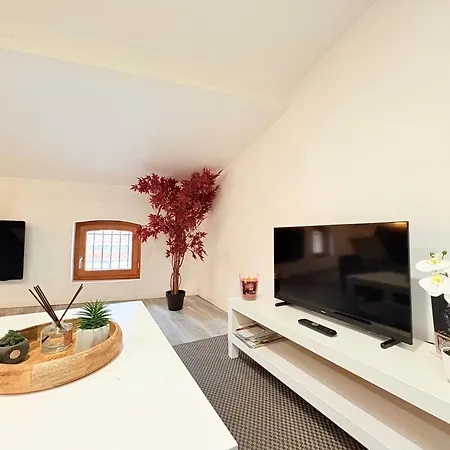 Le Refuge Du Midi Appartement Pamiers