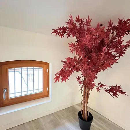 Le Refuge Du Midi Appartement Pamiers